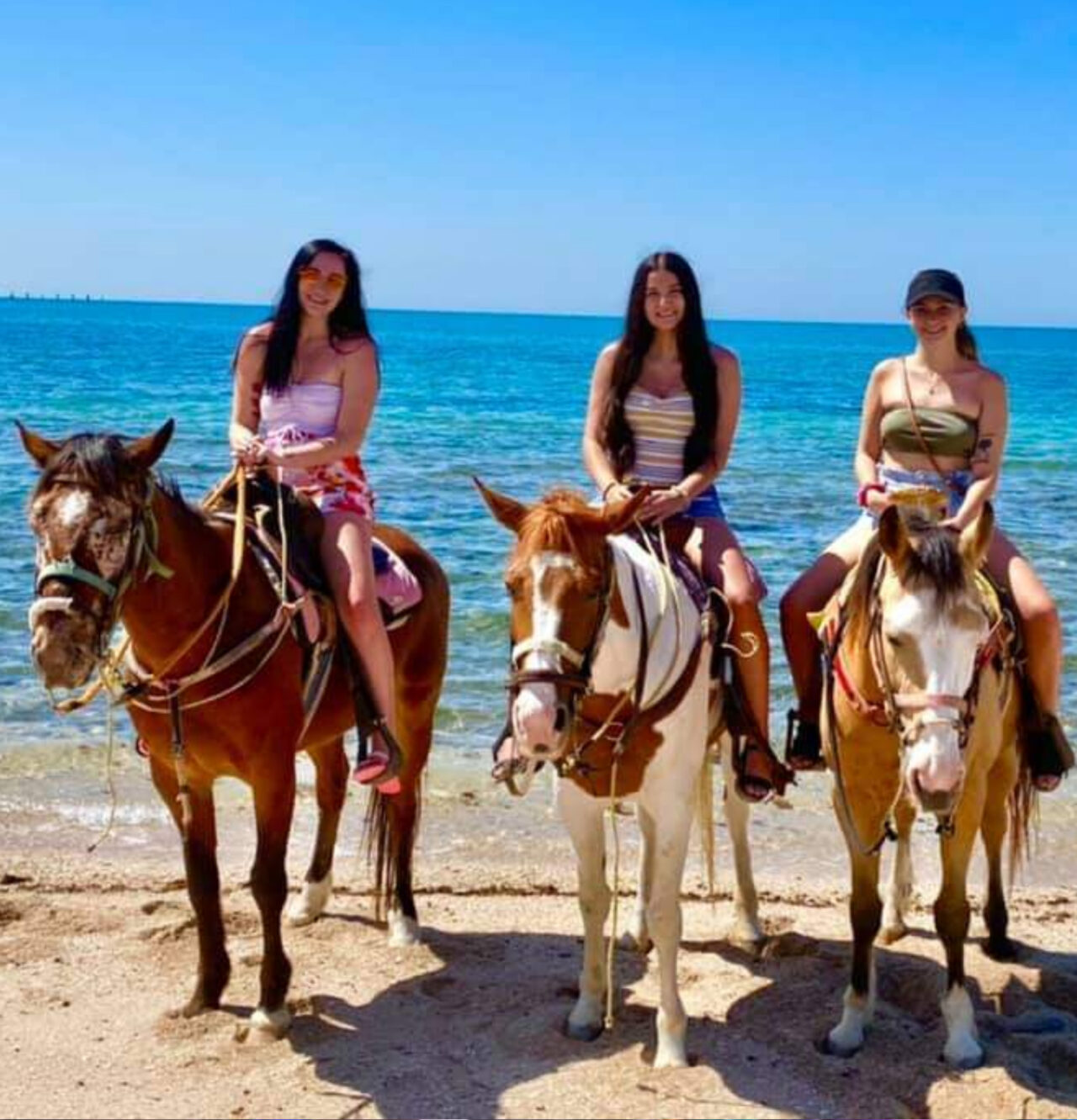 Horseback Riding Rocky Point Mexico: Exploring the Best Trails for an Unforgettable Adventure