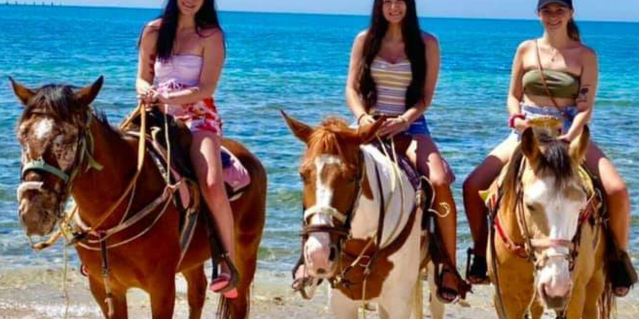 Horseback Riding Rocky Point Mexico: Exploring the Best Trails for an Unforgettable Adventure