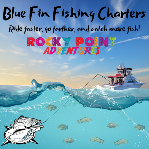 Blue Fin Fishing Charters in Rocky Point, Mexico: The Ultimate Guide to Catching the Big One